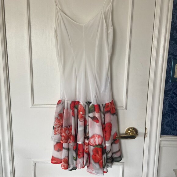 Babylon Dress Sheer Crepe Size 6 - Vacation, Resort, Beach - Picture 5 of 11